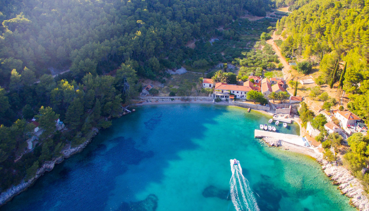Aerial view of a tropical coast